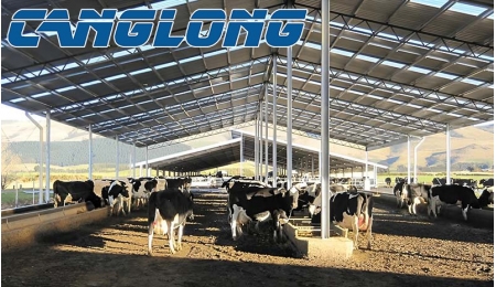 What are the benefits of build steel structure cattle shed?