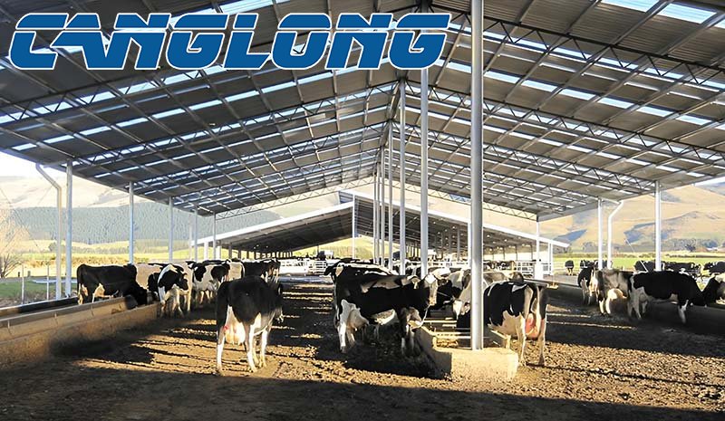 steel structure cattle shed